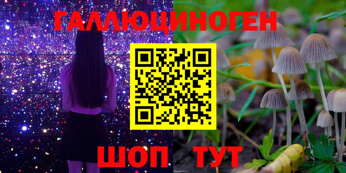 Джанкой  Псилоцибиновые грибы мухоморы  Вход с VPN 